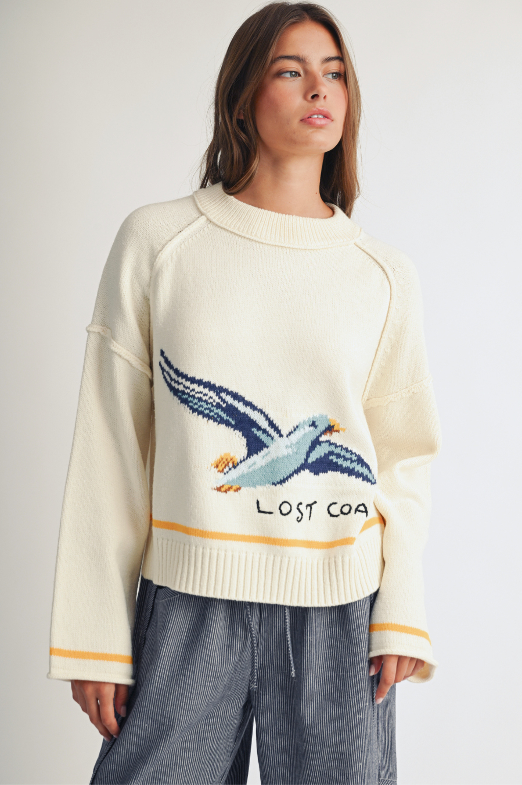 Coastal Seagull