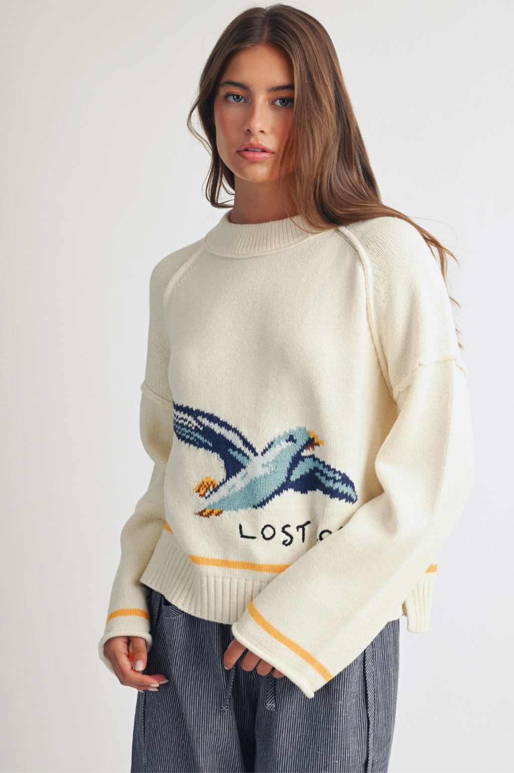 Coastal Seagull