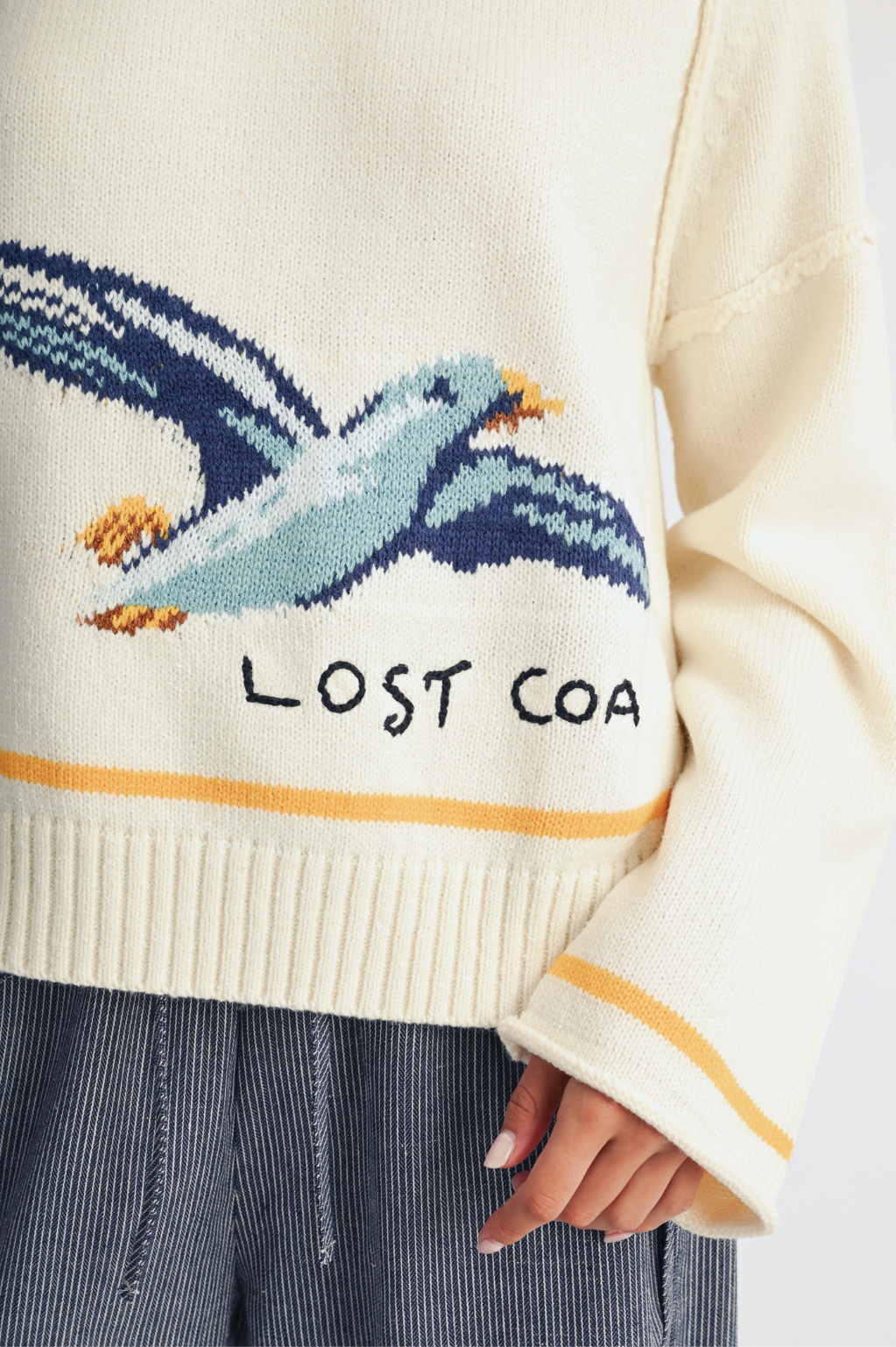 Coastal Seagull