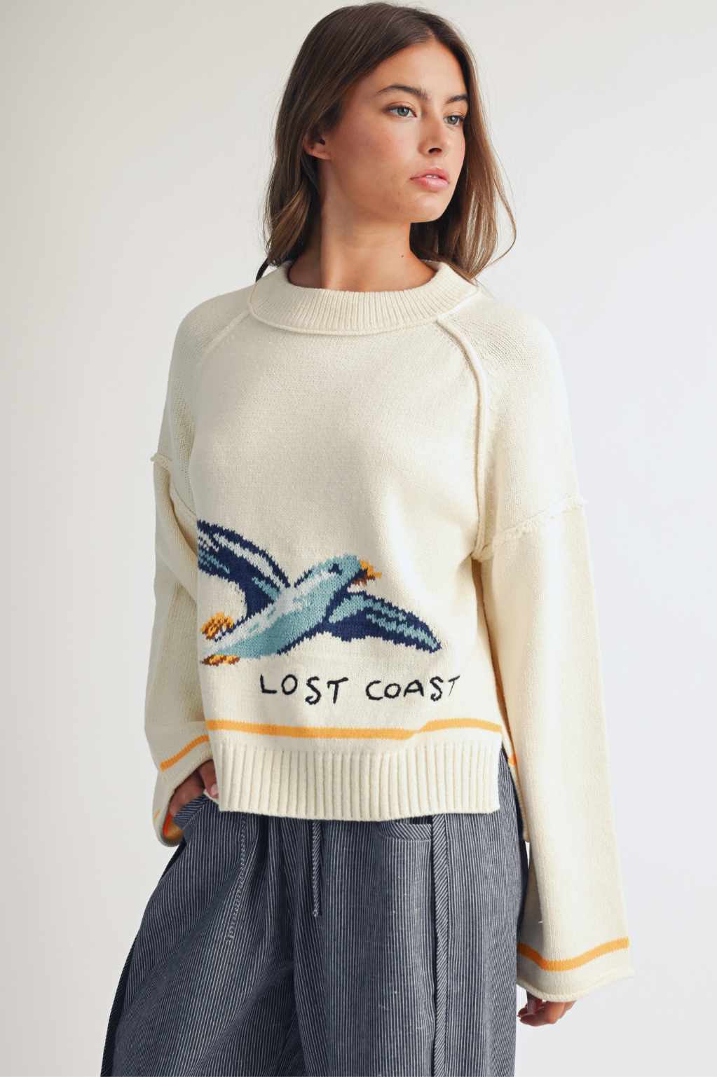 Coastal Seagull