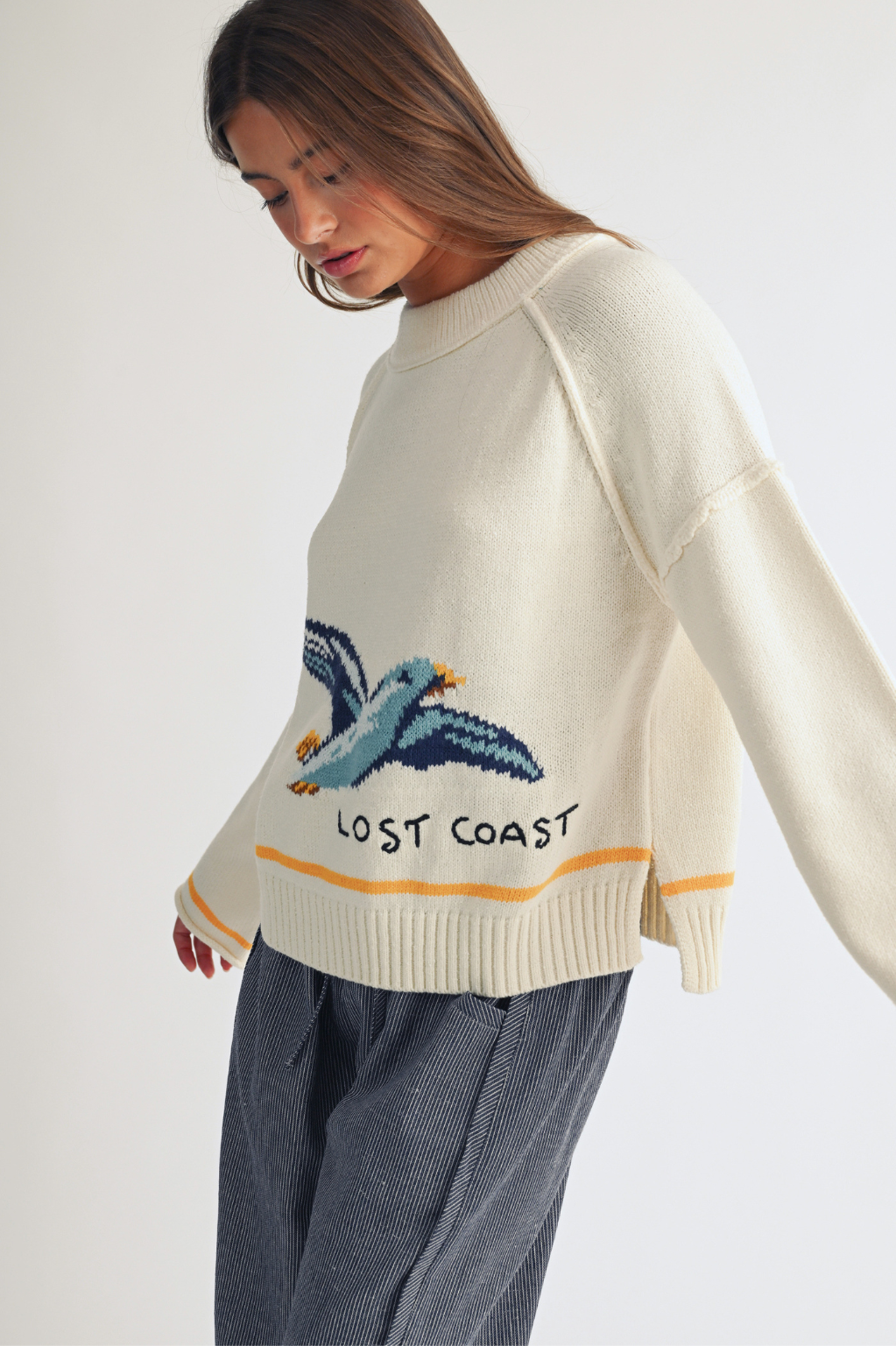 Coastal Seagull