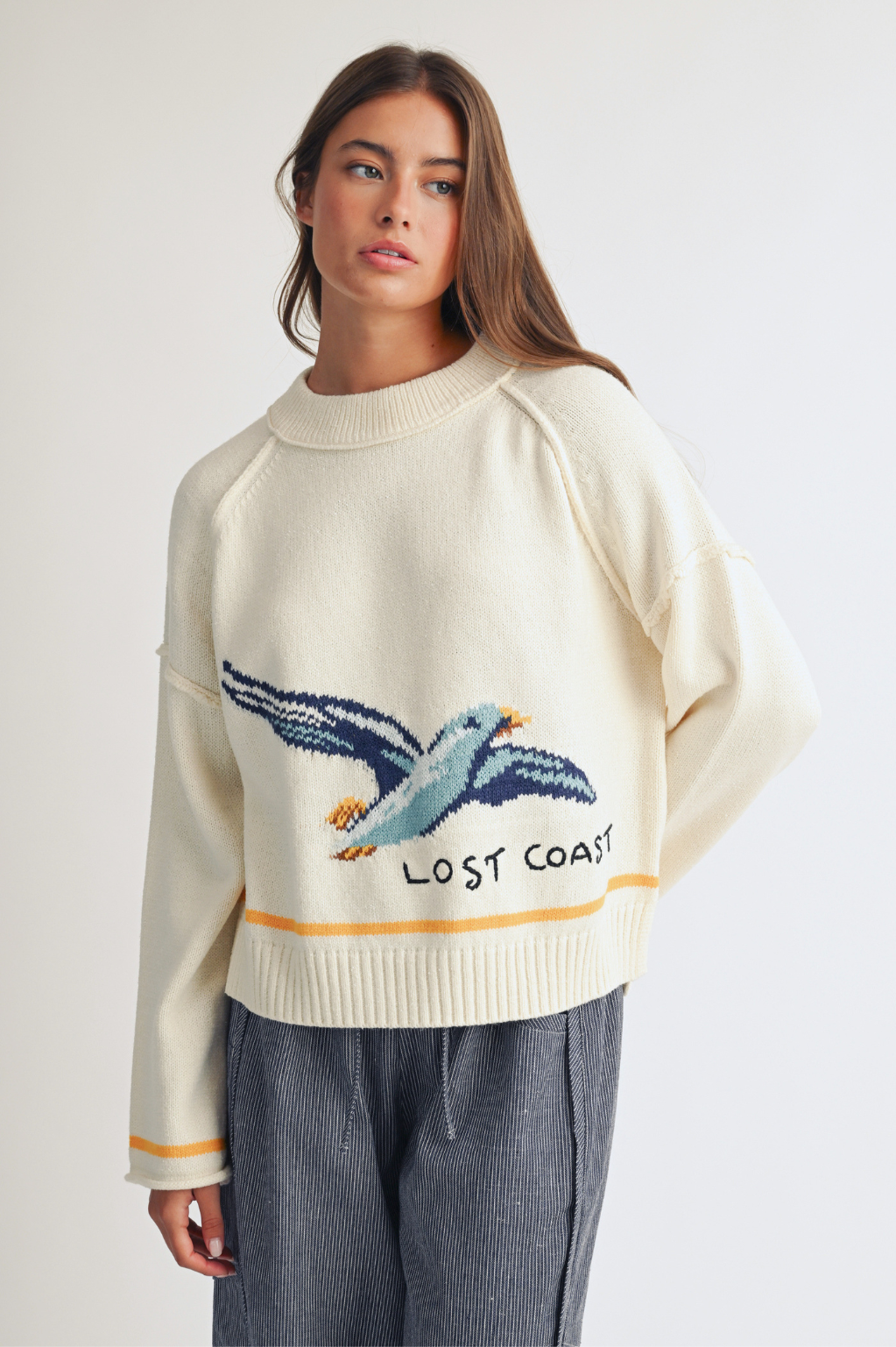 Coastal Seagull