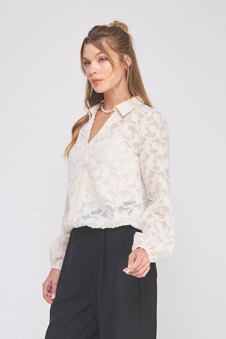 Jacquard burnout button up long sleeve blouse