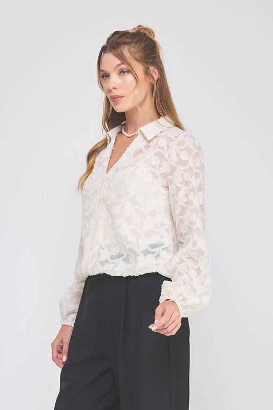Jacquard burnout button up long sleeve blouse