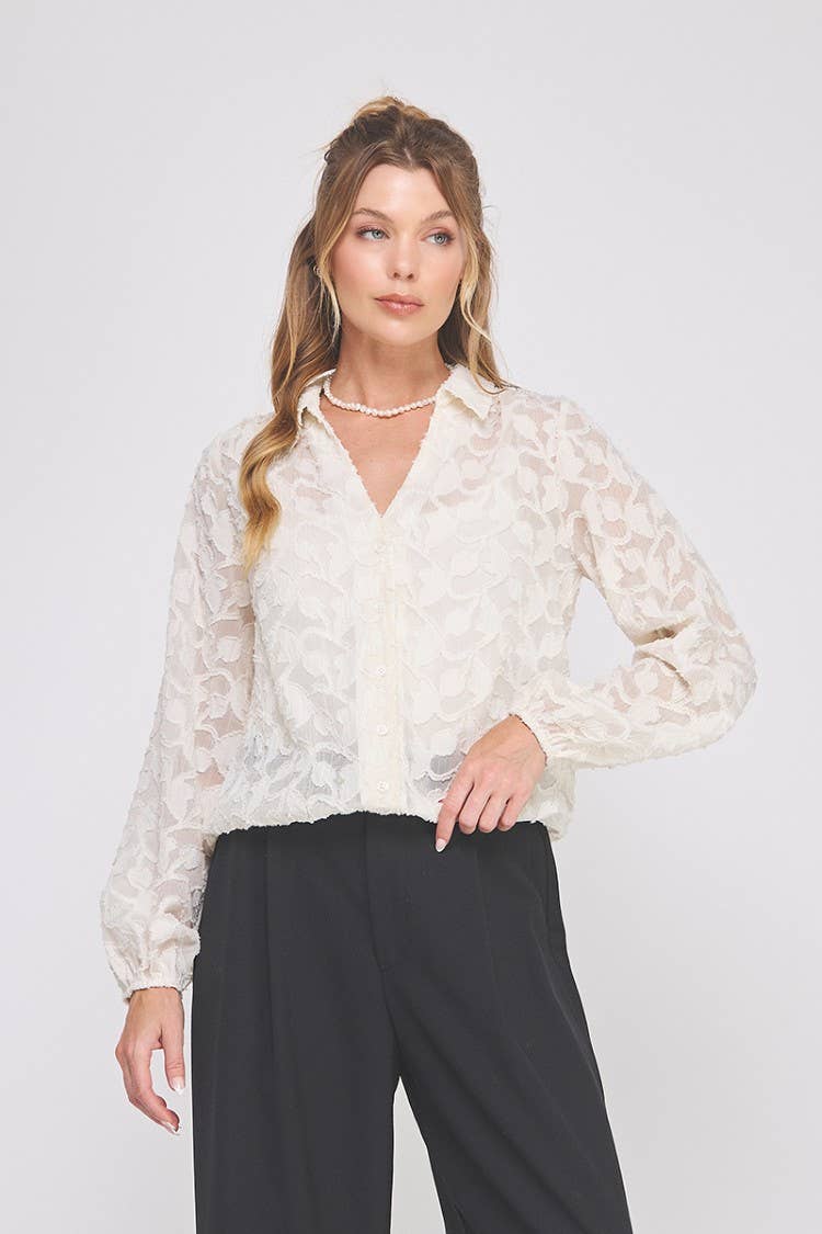 Jacquard burnout button up long sleeve blouse