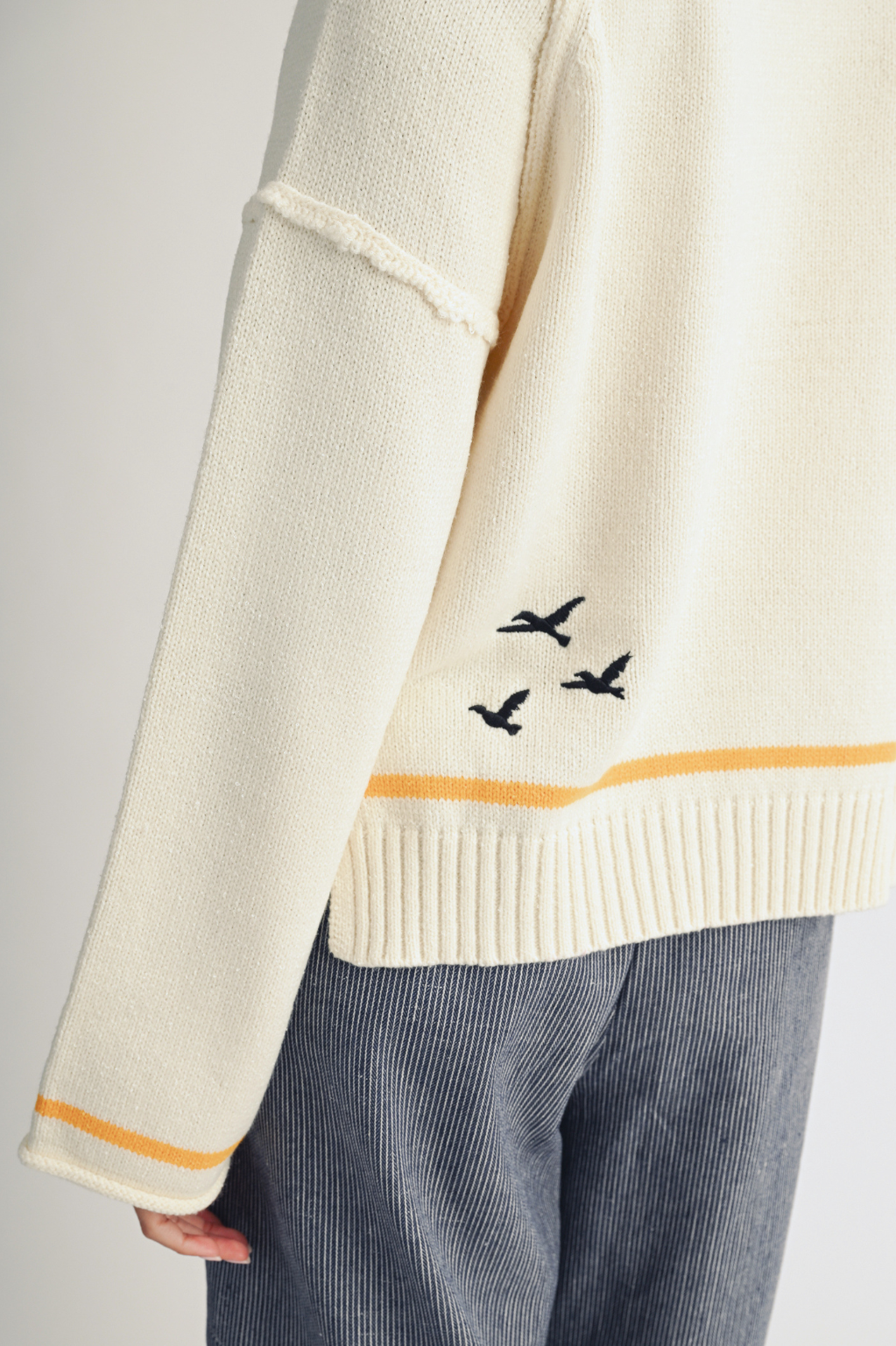 Coastal Seagull